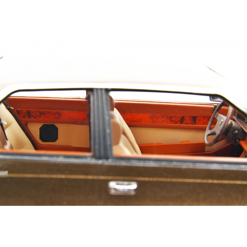 Maserati 2.0 Biturbo 1982-83